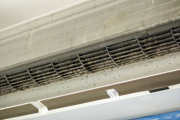 Best Ductwork Cleaning Services  in Cleburne, TX